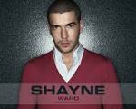 http://images.fanpop.com/images/image_uploads/Shayne-Ward--shayne-ward-625930_1280_1024.jpg