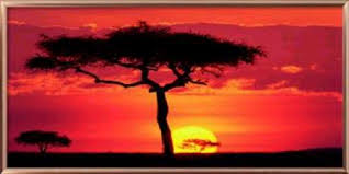 Couché de soleil en Afrique - coucher de soleil afrique - 3z84zpsp
