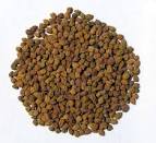 Chana up on spot demand