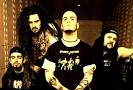 Pantera Picture 1
