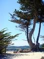Carmel-by-the-Sea, California - Wikipedia, the free encyclopedia