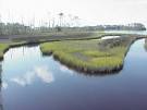 Wetlands of the coastal plains