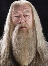 Albus Silente - L\u0026#39;Enciclopedia di Harry Potter - Wiki - Albus_Silente