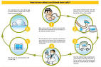 Umbilical cords blood banking for stem cells therapy | B4Tea.