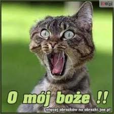 Obrazek