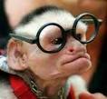 old monkeys