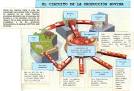 <b>sistema nervioso central</b>