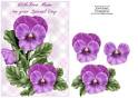 Purple Pansy for Mum by Sheila Rodgers - 500cup51350_66