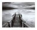 photographed landscapes