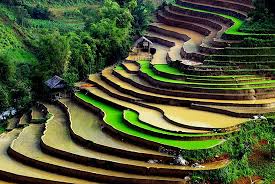 sapa trekking