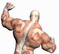 Using HIGH Reps To Build Muscle  Three Ways To Do It That Will