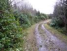 on Black Island, Dartrey - via Daymix