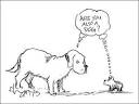 Hutch the Dog - Dog Jokes