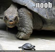 http://t2.gstatic.com/images?q=tbn:ANd9GcQbID2KRcfVNTpFN8leQ8Ba-A2SeQ5j_WkzWeY9_vRyLxY6PR9k