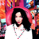 Bjork Image Bjork Lyrics Picture 5