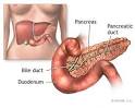 Diabetes, Type 2 - In-Depth Report - NY Times Health