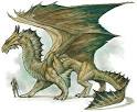 dragons