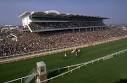 It's Finally Here – Cheltenham Festival 2012!