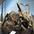 Chasmosaurus - Wikipedia, the free encyclopedia