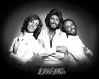Bee Gees Picture 2