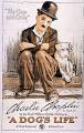A Dog's Life - Wikipedia, the free encyclopedia