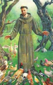 images?q=tbn:ANd9GcQc3L-sOZW1Od---TBCOjyr-ehFS_wq-GgCpE_ScJ7OaHKViiwPLA