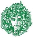 Salvia divinorum revealed!