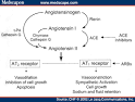 AT=<b>angiotensin II</b> receptor