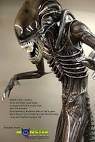 Lifesize Alien Warrior Prop 1:1 scale