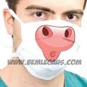 pig 2 Swine Flu 2009 Face
