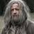 Fan de Merlin dans KAAMELOTT. 244 people