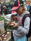 is a non-venomous python - via Daymix