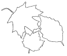 <cite title=