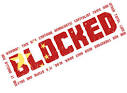 13000 websites are blocked by Pakistan, for vulgarity ~ ERP BASIC