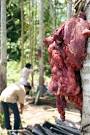 Pig entrails--prep for a traditional Torajanese funeral