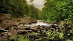 Nature wallpaper 1366x768 055. jpg 3506