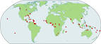 The Atlas of Pidgin and Creole Language Structures (APiCS) - Apics