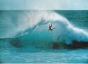 wiped out