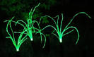 Wild Grass Solar Lights for your garden | Hometone