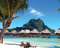 http://t2.gstatic.com/images?q=tbn:ANd9GcQeMA4Xu9mieFWUAbHDUEIQVqN5mMKPb0CBP4sL8vjANgo90uzIwQ