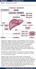 Natural Treatment For Fatty Liver | Diet for Fatty Liver