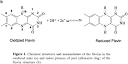 Journal of the Brazilian Chemical Society - Electrochemical