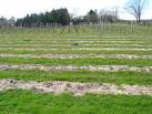 It is open to the public and includes a cafe and bistro, wine tasting and - via Daymix