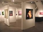 Kolok Gallery - Contemporary Art