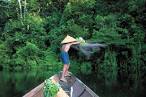 What do your judgments say about you? What a week in Borneo taught ...