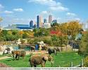 indianapolis-zoo » Near West Indianapolis