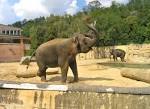 File:Big <b>mammals</b> pavilion2,