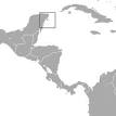 Cozumel fox - Wikipedia, the free encyclopedia