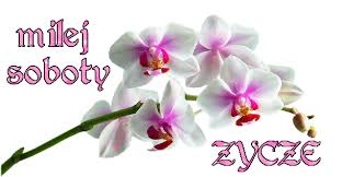 http://t2.gstatic.com/images?q=tbn:ANd9GcQflI4fmkPwXu0ptYafg-18DUxXkT17EwCf63EiCeQAN4YIVAdC