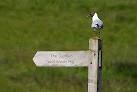 The black-headed gull appears to be contemplating a flight over this route. - via Daymix